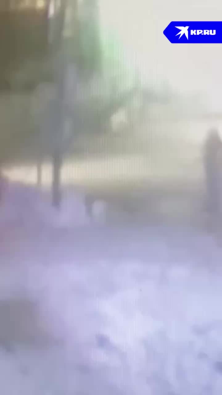 В Воронеже автобус сбил пешехода на регулируемом переходе