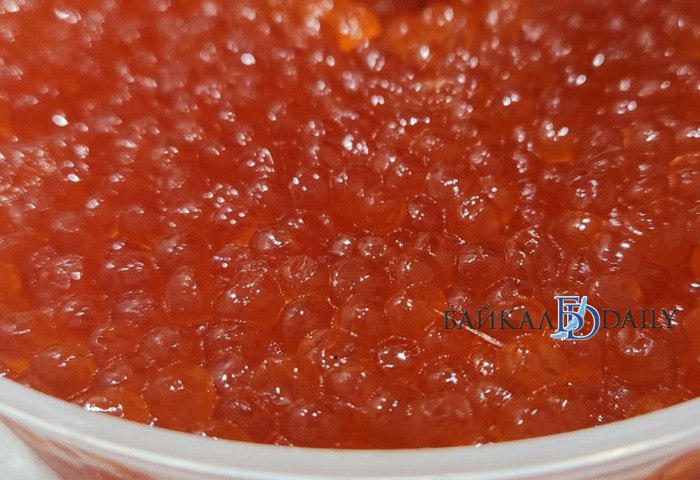 Житель Улан Удэ украл из магазина красную икру В полицию поступило заявление от администратора супермаркета о краже шести плиток шоколада и трёх банок красной икры Полицейские установили личность злоумышленника им оказался 30 летний ранее не судимый мужчина Как выяснилось за месяц до этого он также совершил кражу в парфюмерном магазине