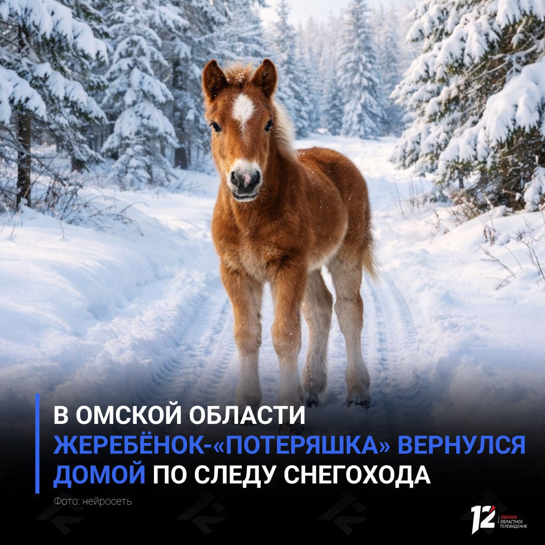 В Омской области жеребёнок потеряшка вернулся домой по следу снегохода История с пропавшим жеребёнком получила счастливый финал Малыш оставшись один в лесу пошёл по следу снегохода инспектора участвовавшего в поисках Эти следы привели его к дому но жеребёнок видимо не нагулявшись развернулся и ушёл обратно Лишь через 6 дней после начала поисков животное вернули хозяину Случай наглядно показал насколько важны для лесных обитателей проторенные тропы зимой идти по следам других животных или технике намного легче чем по глубокому снегу и это помогает им сохранять силы и выживать   Истории с счастливым концом   Подписывайтесь на 12 канал в МАХ