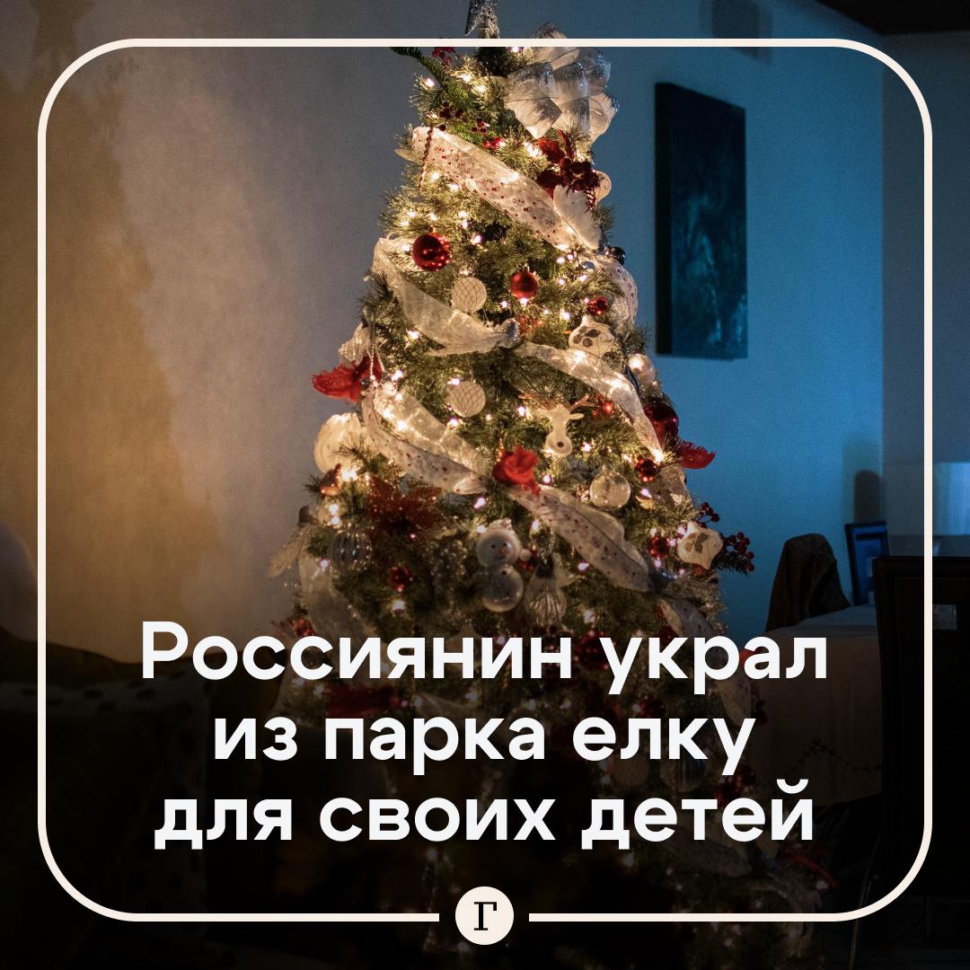 Крымчанин украл из парка елку, чтобы устроить детям праздник.  35-летний отец четверых детей выпил и отправился в магазин за новой порцией. По пути домой он заметил в городском парке нарядную елку и решил устроить детям праздник. Не долго думая, отец прихватил деревце за 108 тыс. руб. с собой.  Севастопольская полиция нашла мужчину, ему грозит до двух лет лишения свободы.  Подписывайтесь на «Газету.Ru»