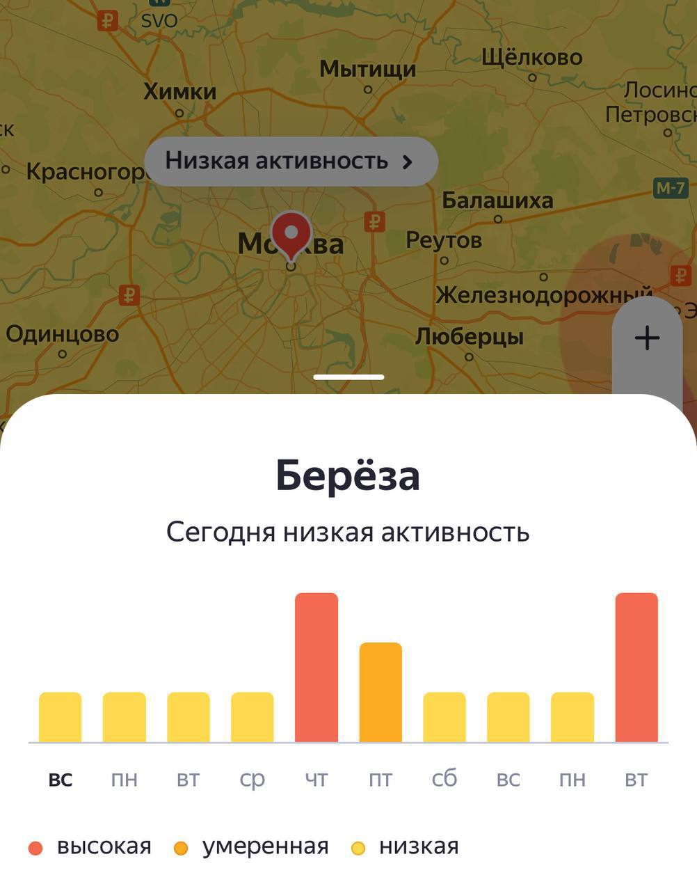 Аллергикам в Москве рекомендуется ограничить пребывание на открытом воздухе. Также полезно использовать медицинскую маску и солнцезащитные очки, а по возвращении домой сменить уличную одежду, провести гигиену полости носа и принять душ.