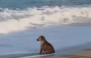 В Иркутске задержаны пьяные пассажиры перед рейсами в Бангкок и Ташкент