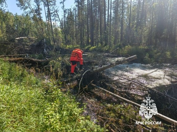 71 летний сборщик ягоды утонул в горной реке в Слюдянском районе Мужчину унесло сильным течением Читать подробнее на сайте