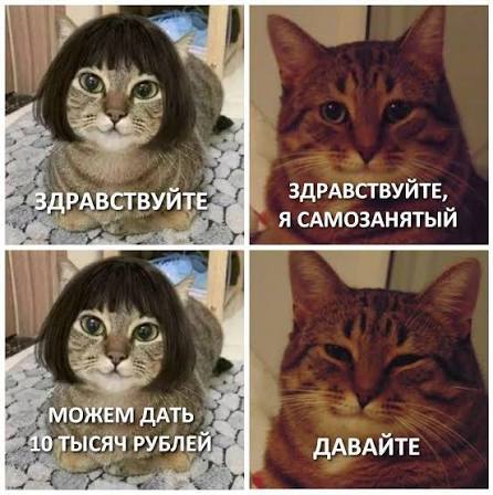 Каждая пятая компания в Челябинске работает с самозанятыми Услугами самозанятых в Челябинске пользуются 22 работодателей Такие данные приводит SuperJob по итогам опроса предприятий и организаций города Малый и средний бизнес привлекают самозанятых с одинаковой частотой По данным официальной статистики к декабрю 2025 года статус самозанятого оформили 14 6 млн россиян В компаниях их чаще всего задействуют для разовых проектных и вспомогательных задач без оформления в штат Наиболее активно самозанятых привлекают в строительстве и проектировании логистике и грузоперевозках а также в IT Востребованы также специалисты в маркетинге бухгалтерии подборе персонала дизайне копирайтинге переводах и юридическом сопровождении