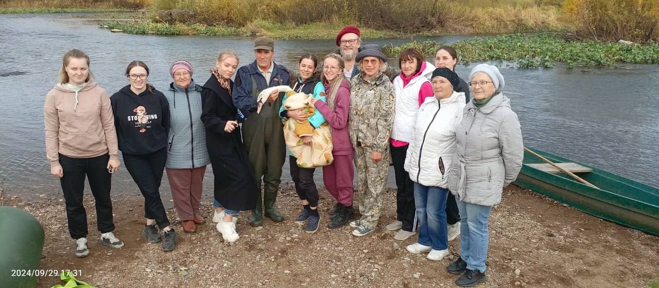 На берегу реки Чусовой прошла операция по спасению лебедя  Птицу, которая долгое время не покидала берег, заметили местные жители. Затем историей заинтересовались орнитологи и волонтеры, которые эвакуировали лебедя.   Оказалось, что Александр, как окрестили лебедя не может летать из-за патологии. Спасенную птицу отвезли в приют в Нижнем Тагиле.  Фото, видео: Борис Петров