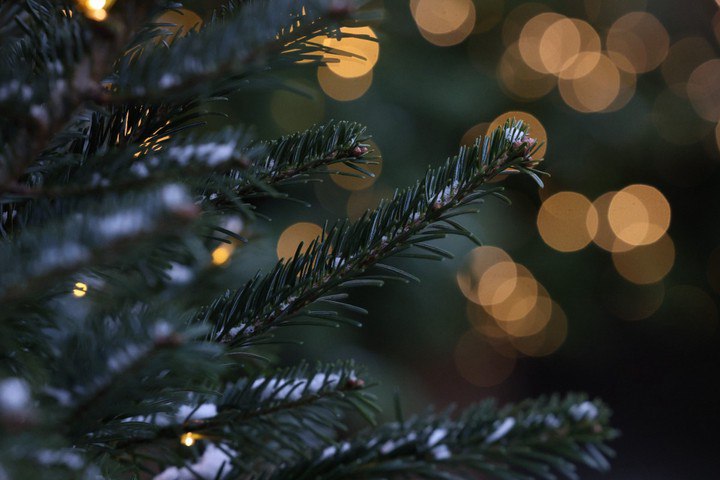 На Чукотке раньше всех отметят Новый год Жители чукотского села Уэлен первыми в стране встретят астрономический Новый год Все дело в расположении населенного пункта Как сообщили в обсерватории НГУ он расположен на самом востоке России и одним из первых встречает солнечные циклы   Подпишитесь на Абзац TG VK Дзен MAX Rutube