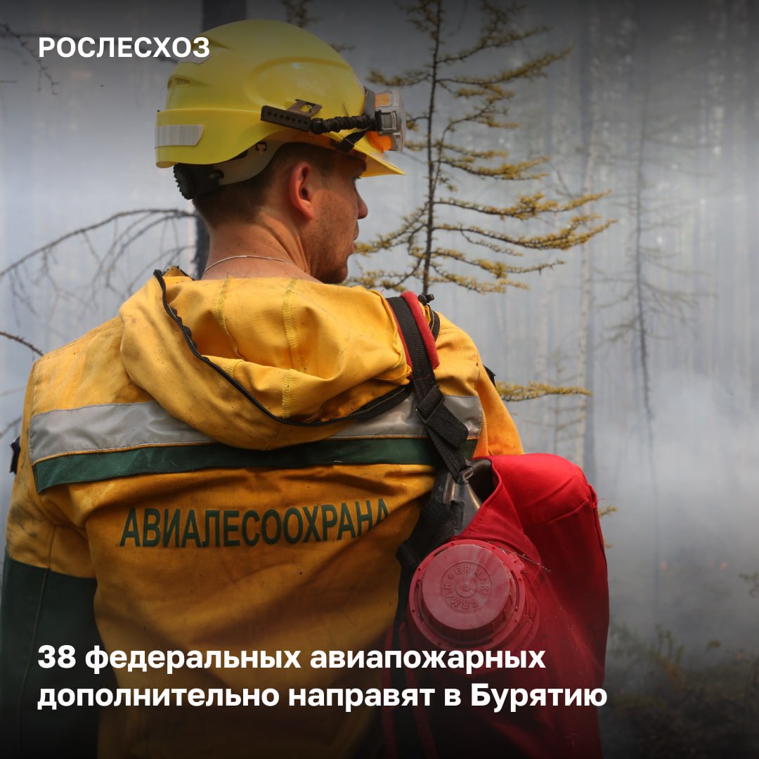 В Республику Бурятия прибудут силы Федеральной Авиалесоохраны для стабилизации лесопопожарной обстановки. Силы будут переброшены в Еравнинский район: - 26 авиапожарных из Омского авиаотделения; - 12 из Баргузинского авиаотделения. «Лесопожарная обстановка в Республике Бурятия находится на контроле ведомства. Принимаются все необходимые меры, чтобы в регионе все очаги возгораний были ликвидирован как можно скорее. Вчера в регион были направлены 12 парашютистов-десантников из Баргузинского авиаотделения Федеральной Авиалесоохраны, также было принято решение направить в Республику еще 26 авиапожарных из Омского авиаотделения», - отметил начальник Управления охраны лесов от пожаров Евгений Писаревский. В Республике Бурятия действует межрегиональный режим ЧС. В регионе сохраняются высокий и чрезвычайный классы пожарной опасности. Про лесопожарную обстановку На 11:00 мск в Республике Бурятия тушат 38 лесных пожаров на площади 38,7 тыс. га. К ликвидации огня привлечено 807 человек и 197 ед. спецтехники.