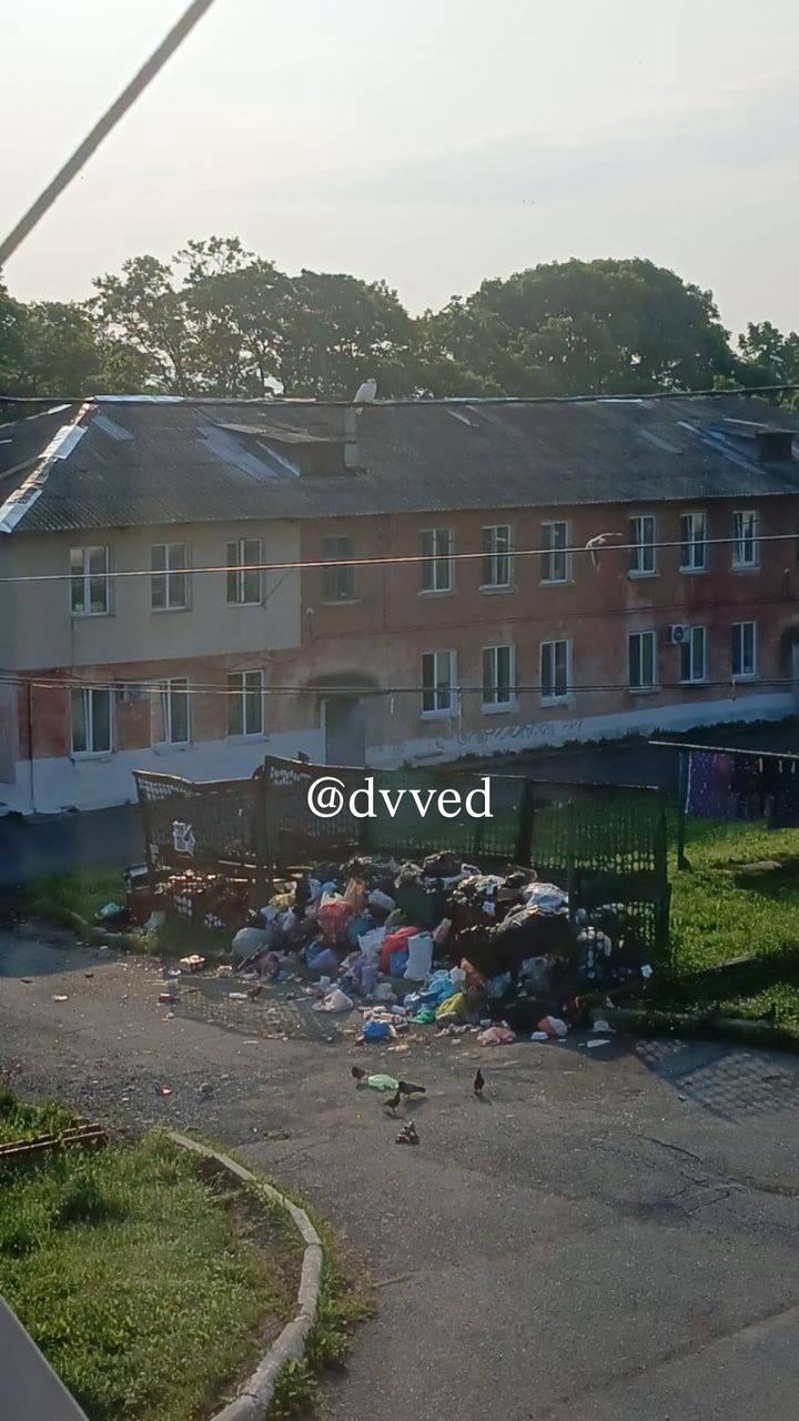 Микрорайоны и сёла Находкинского городского округа превращаются в свалку #Нам_пишут Жители Южно-Морского, Ливадии, Душкино и Анны Находкинского городского округа уже давно устали жить среди мусора и просят о помощи, чтобы их услышали. Одна из местных жительниц рассказала, что уже более месяца существует серьёзная проблема с вывозом мусора. Контейнеров недостаточно, и мусор скапливается, превращая дворы в свалку. В программе «Все свои» на радио «Владивосток FM» представитель Приморского экологического оператора рассказала, что Ливадию и Находку обещают расчистить за неделю.