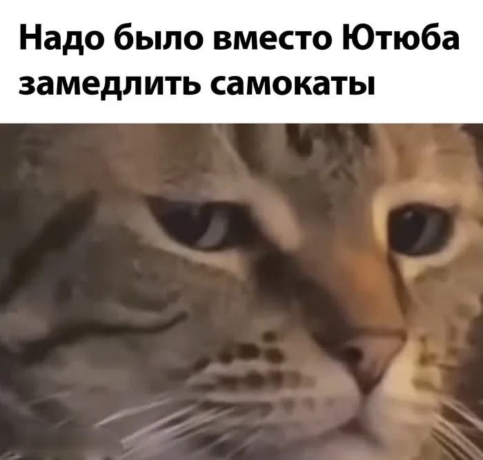 Операторы кикшеринга увеличили штрафы для самокатчиков. Крупные операторы кикшеринга в России ужесточили санкции за использование прокатных электросамокатов несовершеннолетними. Штрафы увеличились в три раза из-за высокого уровня аварийности среди подростков. На данный момент в Москве штрафы за подобные нарушения уже достигают 100 тысяч рублей. Подписаться Прислать новость Буст