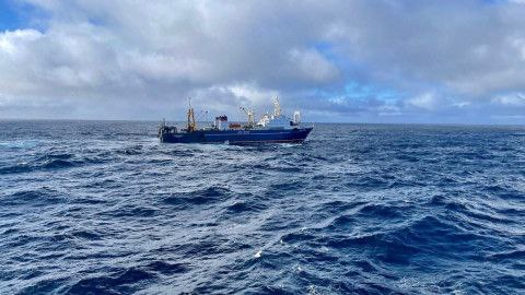 Госдума может разрешить делать консервы из печени трески на борту прибрежных судов уже весной Согласно нынешним законам делать консервы из печени трески на борту разрешено только крупным траулерам с фабриками на борту такие носят название суда процессоры Остальные в том числе рыбаки прибрежники должны доставлять сырье на берег Логика таких действий была проста это загрузка рыбоперерабатывающих фабрик но на деле от субпродуктов моряки просто избавлялись выкидывая за борт С инициативой изменить действующее законодательство а соответственно и положение дел в Государственную думу обратились представители Мурманской области в том числе рыбацкого сообщества Законопроект парламентарии должны будут рассмотреть уже весной Вот как вероятные изменения прокомментировал наш постоянный колумнист председатель правления Межрегиональной ассоциации прибрежных рыбопромышленников Северного бассейна Валентин Балашов Борьба между чиновниками и рыбаками за производственно коммерческую модель прибрежного рыболовства длится с 2019 года с момента вступления в силу соответствующих государственных норм Новая модель прибрежки была придумана не рыбаками а представителями государства в море на промысел рыбы никогда не ходившими и истории северного рыболовства не знающими Вершиной абсурда в этой борьбе была попытка запретить мурманским рыбакам шкерить треску и пикшу на борту прибрежного судна Это вызвало профессиональный шок в рыбацкой среде Кое как ситуацию выправили Однако так и остались нерешёнными вопросы производства на борту судна осуществляющего прибрежное рыболовство таких традиционных рыбных продуктов как печень трески консервированная икра головы рыб отходы рыб щеки язык желудок которые употребляются в пищу Откровенно говоря рыбакам со стажем трудно умом понять почему теперь в прибрежке нельзя солить или коптить рыбу на борту судна или крутить консервы как это делали раньше на посольно свежьевых прибрежных траулерах Всё это выглядит как то странно мягко говоря В региональном правительстве между тем уже подсчитали выхлоп от вероятного принятия законопроекта Это производство дополнительных 900 тысяч банок печени трески