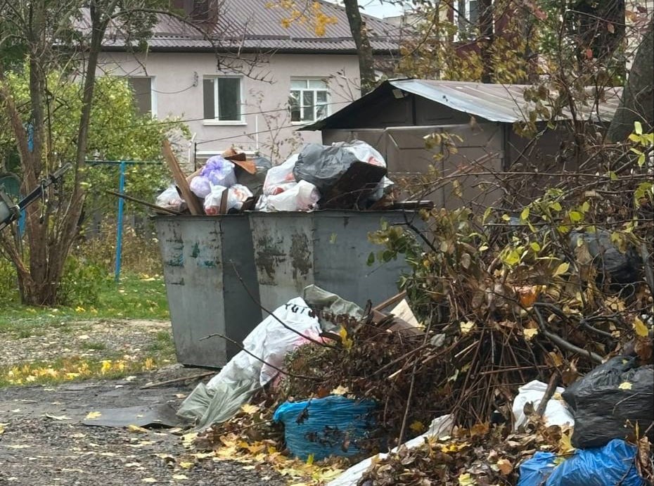 В минЖКХ Ставрополья рассказали, куда звонить, если не вывозят мусор  В праздники коммунальщики работают в усиленном режиме. Они следят, чтобы мусорные баки не переполнялись.  Однако случается, что в некоторых дворах мешки с отходами не вывозят долгое время. Контейнерные площадки превращаются в горы, привлекающие внимание птиц и бродячих псов.  В ведомстве рекомендовали ставропольцам, сталкивающимся с такими проблемами, обращаться на горячую линию регоператора:   ООО «Эко-Сити» — 8-800-770-09-23;  ООО «Жилищно-коммунальное хозяйство» — 8-928-340-50-70;  ООО «Экострой» — 8-928-327-73-77;  ООО «Комбинат Благоустройства» — 8-800-200-76-44.  Фото: пользователь Diana; Telegram / mcuStavropol_news