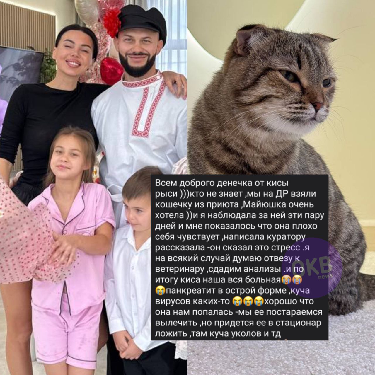 Оксана Самойлова поделилась, что кошечка, которую их дочь Майя забрала с выставки бездомных животных, оказалась больная. Они заметили странности в поведении Афины, что работники приюта списывали на адаптацию. Но новые хозяева всё же свозили питомца к ветеринарам, где у неё нашли панкреатит, кучу вирусов и других болячек. Сейчас семья приступает к активному лечению. Ок блогер тут...