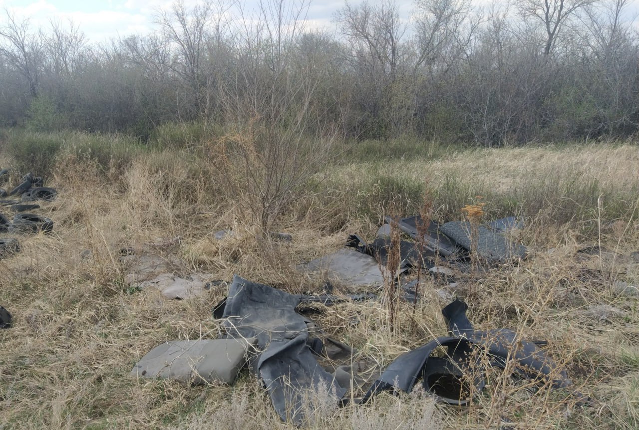 В Магнитогорске после вмешательства прокуратуры ликвидирована свалка отходов вблизи аэродрома  Магнитогорская природоохранная прокуратура провела проверку исполнения законодательства в сфере обращения с отходами в приаэродромной территории аэродрома «Магнитогорск».   Установлено, что неподалеку от п. Пресная плотина г. Магнитогорска выявлены места складирования строительных, твердых коммунальных отходов, отработанных автомобильных шин.   На момент проверки места складирования отходов находились непосредственно на почве, не имели укрытий от воздействия атмосферных осадков и ветров, искусственного водонепроницаемого и химически стойкого покрытия, обваловки и ограждений. Земельные участки под указанными местами складирования отходов не сформированы.   Прокуратурой главе города Магнитогорска внесено представление об устранении нарушений законодательства.    В результате принятых прокуратурой мер, несанкционированное складирование отходов ликвидировано.       ‍ Сайт    Тelegram     ВК