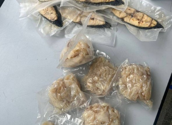 3 кг мяса медуз обнаружили иркутские таможенники в багаже пассажира из Ханоя На нарушителя наложен административный штраф Читать подробнее на сайте