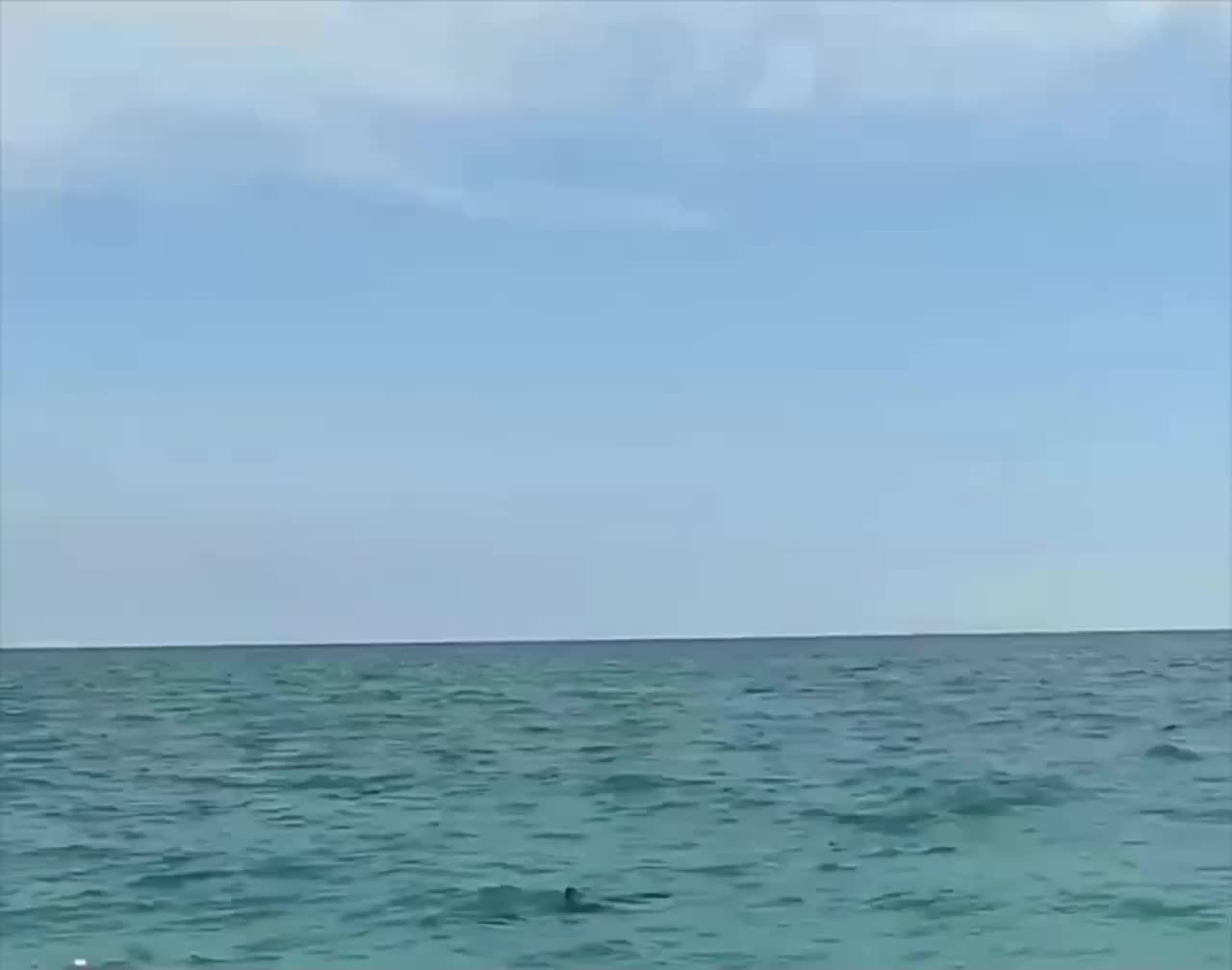 Туристы на пляже Антальи замечают акул и покидают воду