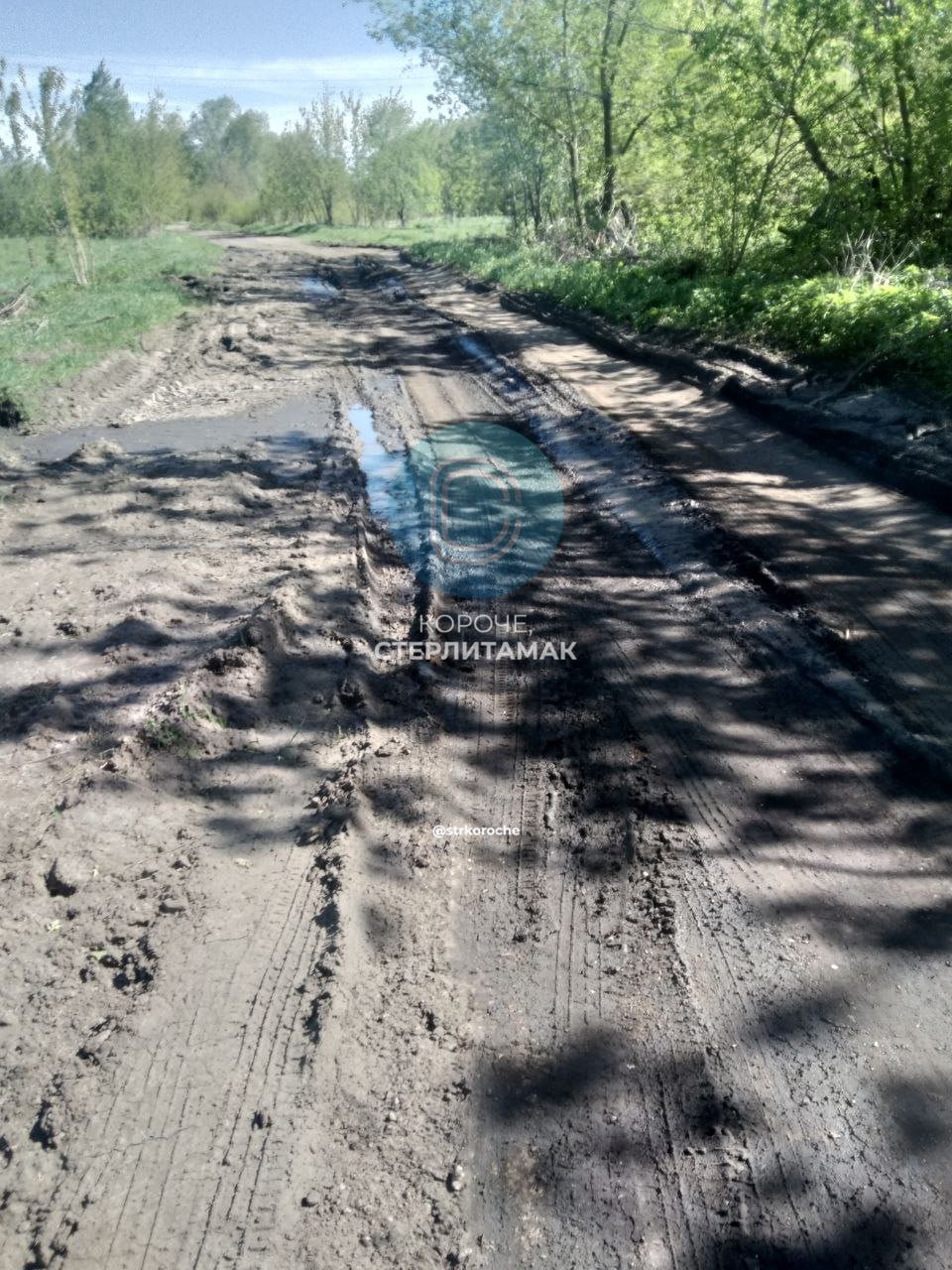 Дороги в Михайловке превратились в полосу препятствий — жители Стерлитамакского района просят помощи. Разбитый асфальт, ямы и грязь — так описывают состояние дорог жители деревни. Особенно тяжело в дождь и весной, когда улицы становятся непроходимыми. «Каждый день рискуешь подвеской, а зимой и вовсе страшно выезжать», — жалуется местный автомобилист. По словам жителей, машины ломаются, экстренные службы проехать не могут, а пешеходам и вовсе приходится идти по грязи. Люди надеются, что власти наконец обратят внимание на проблему и приведут дороги в порядок. Пока же — ни комфорта, ни безопасности. #ПечальныеДороги Подпишись на «Короче, Стерлитамак»