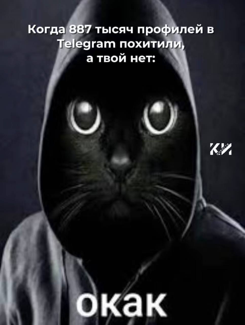 Количество краж аккаунтов в Telegram увеличилось вдвое За три месяца из России и других стран похитили 887 тысяч профилей. Такое количество сопоставимо со вторым полугодием 2024-го. Это стало возможным за счет использования шаблонов и применения ИИ. А вас взламывали в Telegram? — Да — Нет — Я сижу в Одноклассниках Новости тут Прислать фото/видео