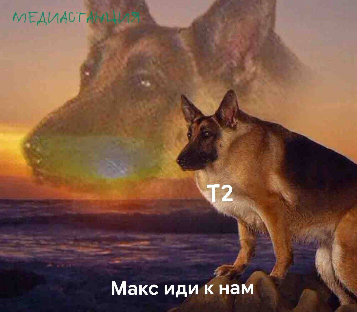 Т2 приветствует Max: мессенджер присоединился к списку уже предоставляемых оператором безлимитно. Теперь тарифы Т2 позволят своим клиентам пользоваться отечественным сервисом свободно и без ограничений по трафику. При этом, по словам оператора, Max уже зарекомендовал себя отлично. Первый прилив аудитории случился в период с 4 по 5 июня и с тех пор количество пользователей только росло, причём в разы. Компания считает, что добавление различных функций только подстегнёт интерес к Max, так что запуск безлимитного доступа предупреждает будущий запрос клиента на качественную работу всех фич.