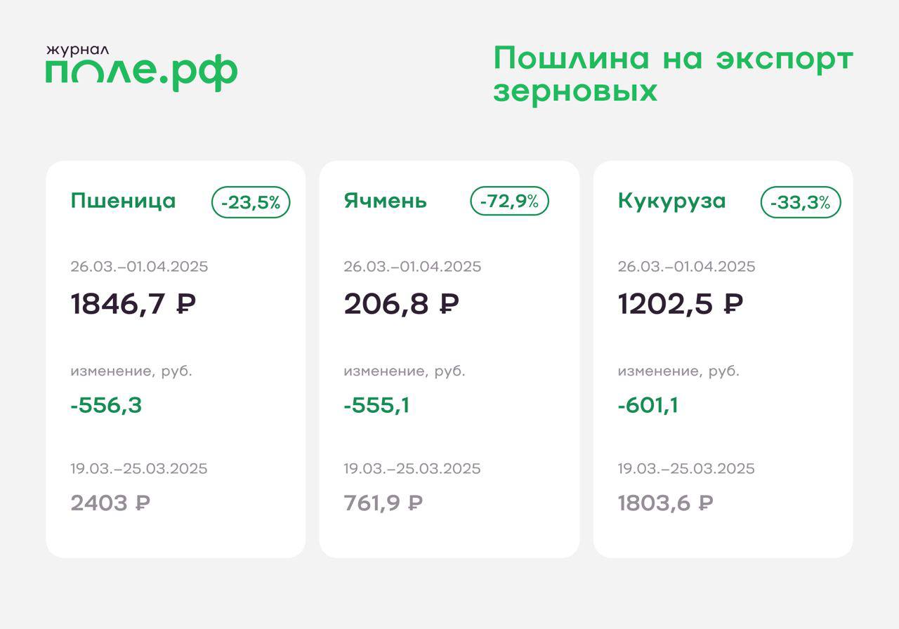 Новые ставки экспортных пошлин установлены с 26 марта.  Пошлины на все три культуры значительно снизятся. Ставка на ввоз пшеницы будет менее 2 тыс. рублей за тонну.  #пошлины