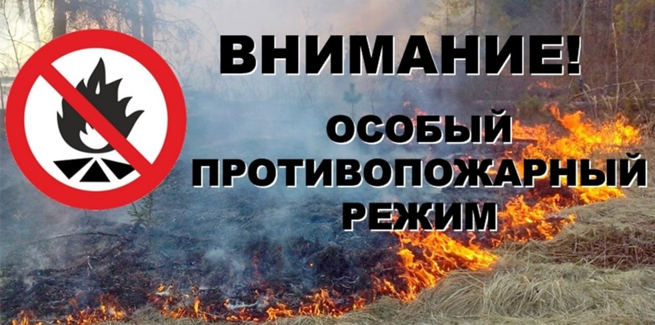 С 8 июля на территории города Рязани установлен особый противопожарный режим. Соответствующее постановление подписал глава администрации города Рязани Виталий Артемов. Горожанам запрещено посещать леса и въезжать в них на машине, за исключением жителей, проживающих в районе поселка Солотча. Запрет не распространяется на транспортные средства экстренных служб, военной техники, а также предприятий, обеспечивающих необходимые жизненные потребности населения. В связи с повышенной опасностью возникновения лесных пожаров сотрудниками управления ГОЧС регулярно осуществляются рейды с целью своевременного выявления задымлений, проводится информирование жителей.