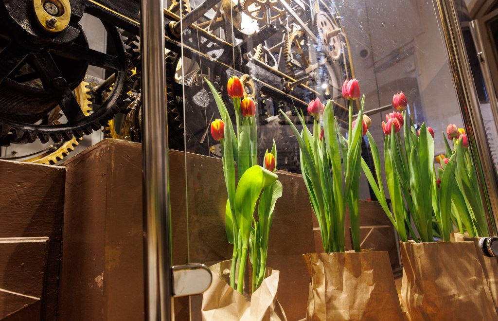 Центр музыкальной культуры Чайковский 27 февраля даст старт традиционному фестивалю тюльпанов Весна на высоте Цветочное убранство вновь заполнит пространство Думской башни превратив исторический памятник в настоящую оранжерею Пространственные и колористические решения будут меняться по мере подъема от подножия до смотровой площадки Подписывайтесь на Культуру Петербурга в MAX