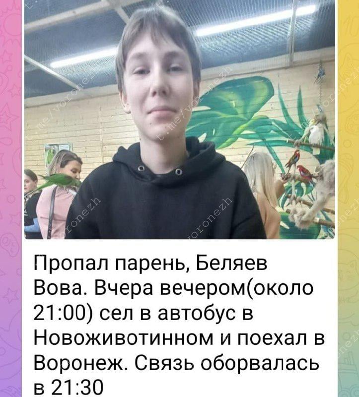 Подросток сел на автобус под Воронежем и пропал через полчаса   В Воронеже идут поиски 15-летнего Владимира Беляева. Он пропал вечером четверга, 6 марта. Информацию подтвердили в поисковом отряде «ЛизаАлерт».   Подросток живёт в Коминтерновском районе. На данный момент известно, что около 21:00 он выехал из села Новоживотинное Рамонского района, предположительно на автобусе. Связь с подростком оборвалась приблизительно через полчаса. До дома Владимир не доехал.