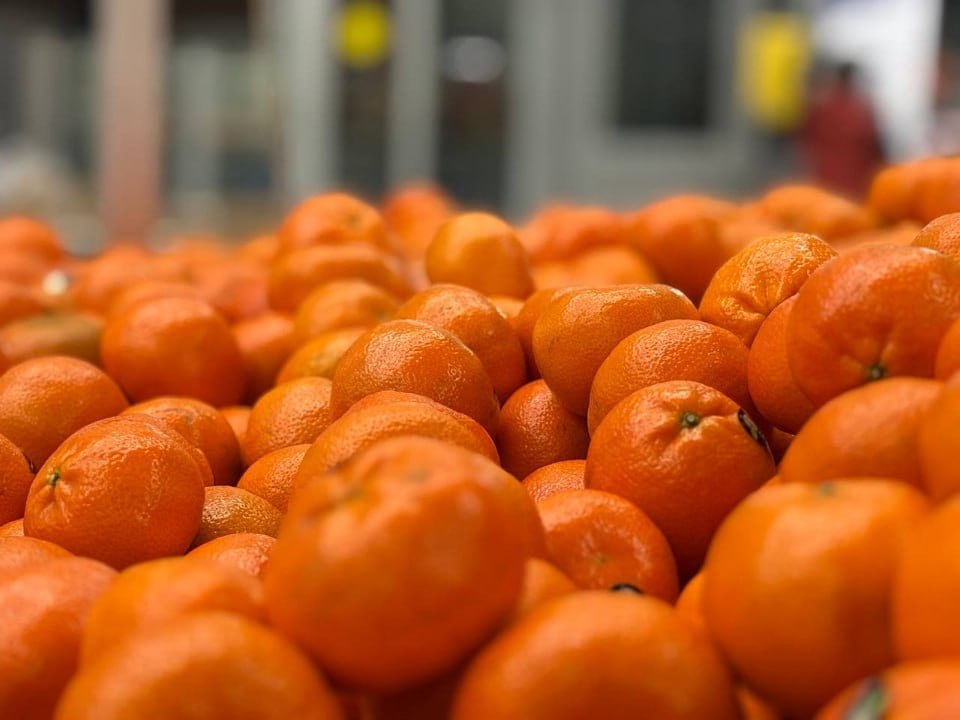 Россельхозбанк в 2025 году будет съедено около 1 млн тонн мандаринов 15 декабря РЕГИОНЫ По информации Россельхозбанка озвученной в беседе с РИА Новости в 2025 году потребление мандаринов в России достигнет внушительной отметки около 1 млн т Примечательно что почти треть этого объема примерно 330 тыс т будет съедена в предновогодние недели Эксперты поясняют структуру фруктового рациона россиян в течение года мандарины занимают устойчивую долю в 10 от общего объема потребляемых фруктов Однако с наступлением зимы популярность цитрусовых резко растет В предпраздничный период спрос на мандарины взлетает покупатели активно запасаются фруктами для праздничного стола и подарков Особого внимания заслуживает факт что весь объем мандаринов удовлетворяющий российский спрос поступает из за рубежа Импорт полностью закрывает потребность населения в этом популярном зимнем фрукте Таким образом мандарины остаются не только любимым сезонным лакомством но и значимой частью международной торговли продуктами питания