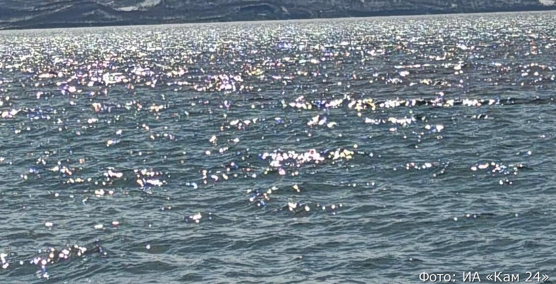 На Камчатке нашли тело выпавшего с катера туриста В апреле с прогулочного катера в Авачинской бухте пропал 28-летний мужчина. Его тело обнаружили накануне. Это турист из Москвы Алексей Егунов. Нажмите для подробностей -