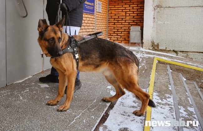 В Красноярске таксист отказался везти с незрячего с собакой-проводником и заплатит 30 тысяч  Водитель такси отказал в поездке незрячему клиенту с собакой-проводником, рассказали в Роспотребнадзоре. В пресс-службе ведомства рассказали, что в августе 2024 года мужчина, являющийся инвалидом первой группы по зрению, вызвал такси. В заявке была отметка о необходимости помощи при посадке и наличии собаки-проводника. Прибывший на заказ водитель заявил, что пассажира с собакой в салон не пустит.  Специалисты Роспотребнадзора отметили, что отказ водителя нарушил права потребителя и обратились в суд. Принятый заказ является договором на определенных условиях, и отменить его нельзя. Исключением является слишком долгий простой машины по требованию пассажира, а также невозможность проезда машины до указанного места назначения. Такси — часть социальной инфраструктуры, к которой у инвалидов должен быть доступ. А собака-проводник считается техническим средством реабилитации. Её наличие не может служить основанием для ограничения доступа инвалида инфраструктуре.  Роспотребнадзор помог незрячему через суд получить 5000 рублей от предпринимателя-таксиста. Кроме того, за отказ в предоставлении клиенту услуги по причине, связанной с состоянием его здоровья, бизнесмена оштрафовали на 30 000 рублей. Это постановление пока не вступило в законную силу.  Newslab