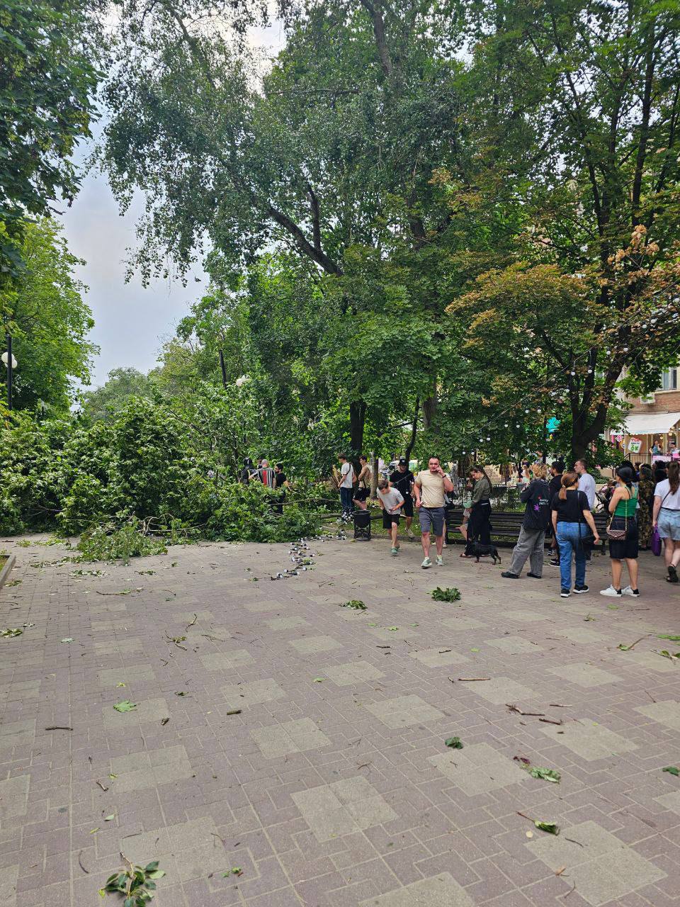 Дерево просто переломилось пополам. С пострадавшей женщиной работает реанимационная бригада.