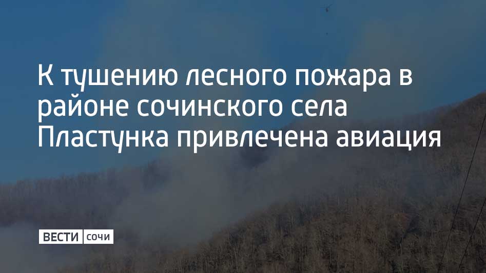 Возгорание лесной подстилки было зафиксировано на склоне горы Кумы 31 января. Угрозы для населенных пунктов нет, заявили в городской администрации.  Лесная подстилка тлеет в труднодоступном месте на полосе чуть более километра. На месте ЧП работают сотрудники МЧС, муниципальной службы спасения, Верхне-Сочинского лесничества. Возгорание тушат 25 человек, задействованы шесть единиц техники.  В районе села Пластунка организован оперативный штаб, дежурят бригады скорой помощи и полиции. В администрации курорта проходит утреннее совещание экстренных служб. Принято решение о том, чтобы привлечь к тушению возгорания больше людей и использовать авиацию для устранения очагов в труднодоступной местности.