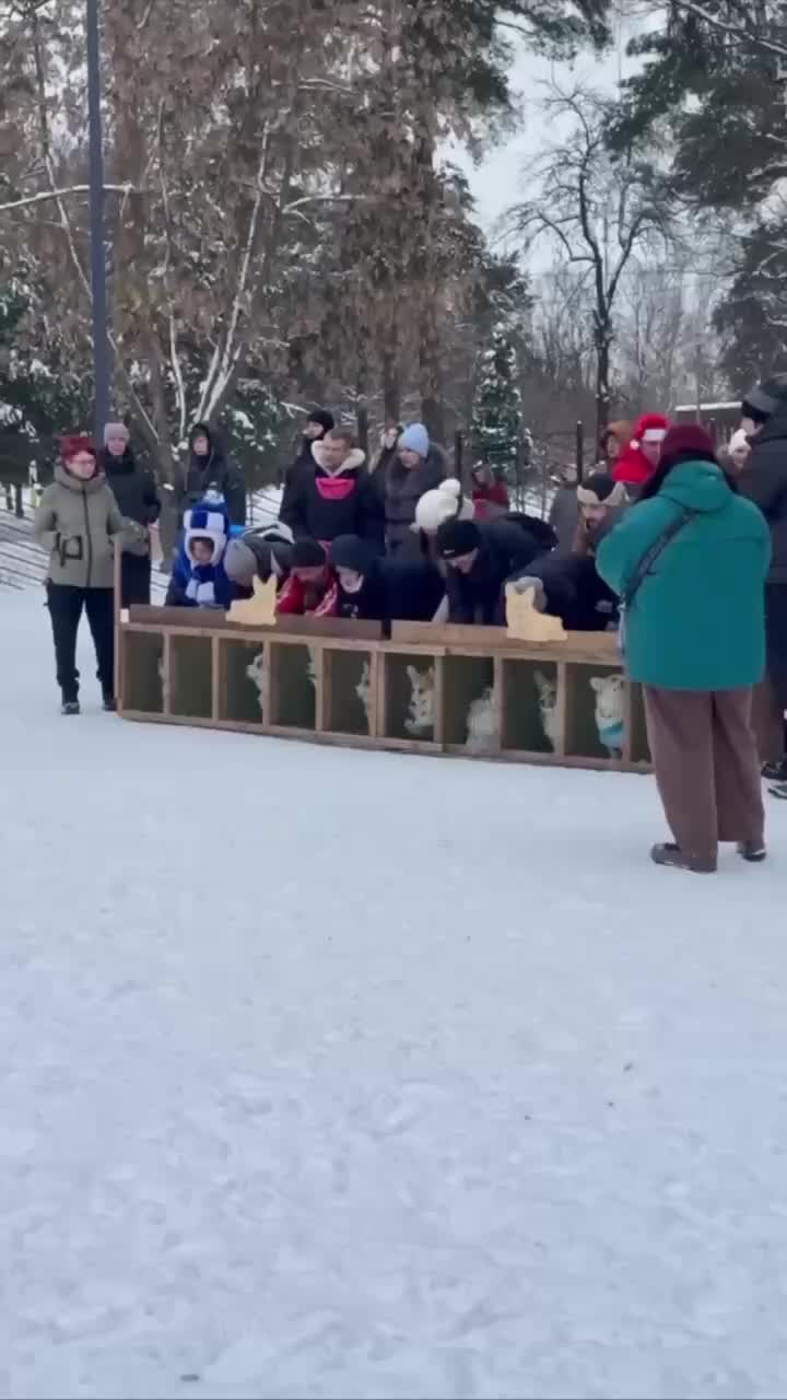 Забег корги в Царицыне: спортивные таланты и улыбки зрителей
