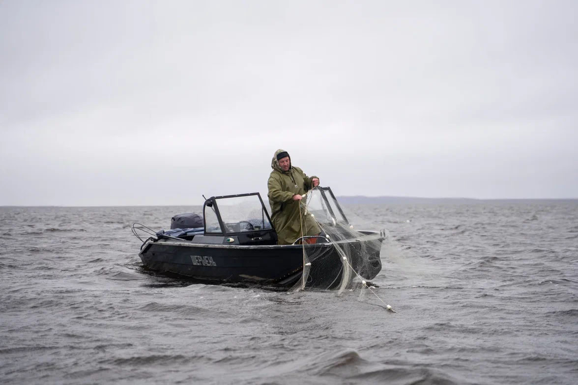 В НАО создают новые рыболовные участки на Печоре для развития любительского рыболовства Об этом на оперативном совещании главы региона Ирины Гехт доложил заместитель губернатора руководитель Департамента природных ресурсов экологии и АПК Альберт Чабдаров Он отметил что работа ведётся по поручению губернатора НАО и при активном взаимодействии с федеральным центром После наших встреч в Министерстве сельского хозяйства с Дмитрием Патрушевым и Оксаной Лут а также последующих переговоров с главой Росрыболовства Ильёй Шестаковым нам удалось сдвинуть с мёртвой точки вопрос о создании нескольких любительских участков на реке Печоре Это необходимо для обеспечения потребностей населения Красного Оксино и в перспективе Великовисочного сообщил Чабдаров Подробнее по ссылке Фото Алексей Орлов НАО24