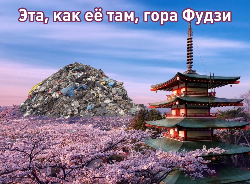 В Японии отменили фестиваль сакуры из за туристов мусоривших и справлявших нужду в садах Его проводили с 2016 года в Фудзиёсиде городе с красивым видом на гору Фудзи Изначально власти хотели привлечь туристов но теперь решили защитить достоинство и комфорт жителей А что ещё случилось