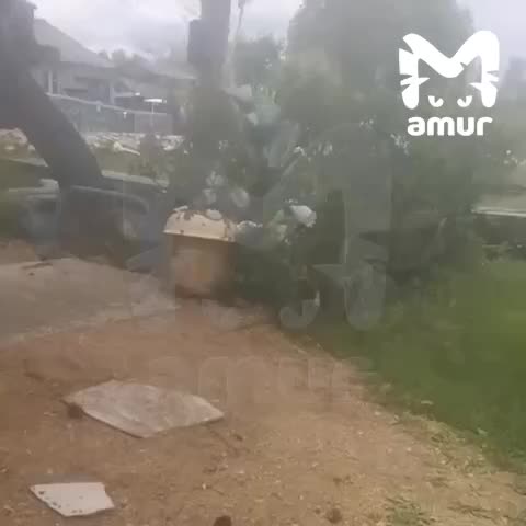 Проверяющие застряли на дороге в Приморье при попытке добраться до Ильмовки