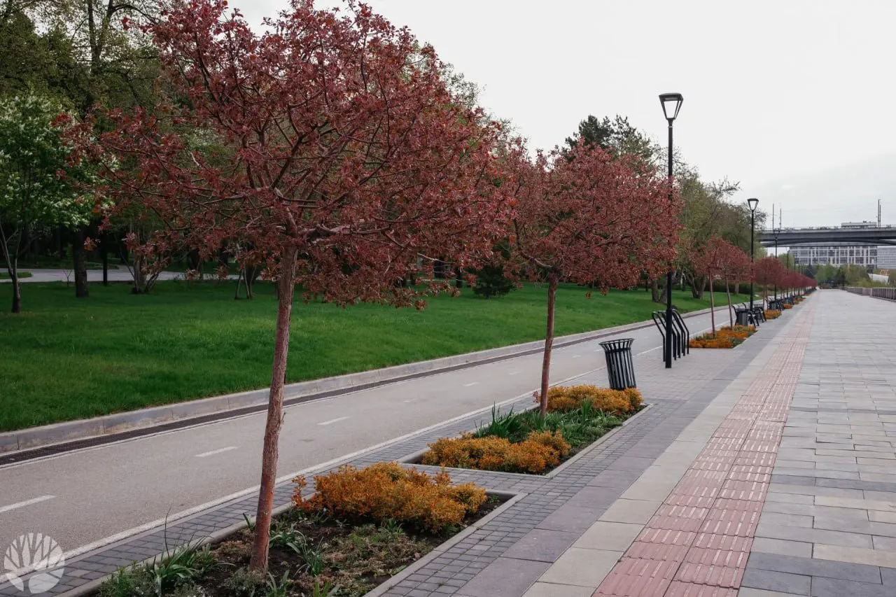 Во всех городских парках завершили работы по защите от клещей Специалисты провели акарицидную обработку всех городских парков и скверов После обработки проведён энтомологический контроль специалисты проверили эффективность мероприятий и подтвердили что угроза укусов клещей минимизирована Теперь новосибирцы и гости города могут спокойно гулять отдыхать на природе и наслаждаться свежим воздухом Новости мэрии в MAХ