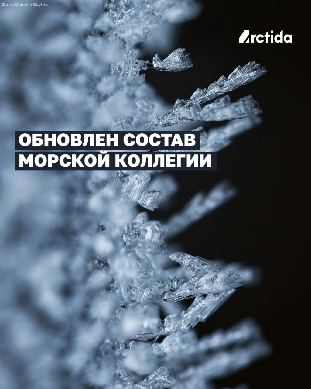 Обновлен состав Морской коллегии 8 декабря Владимир Путин подписал указ О некоторых вопросах Морской коллегии Российской Федерации В документе приводится новое название Совета по защите национальных интересов Российской Федерации в Арктике К сфере ответственности Совета теперь будет относиться развитие Северного морского пути и Трансарктического транспортного коридора Тем же указом обновили состав Морской коллегии туда вошли председатель государственной корпорации развития ВЭБ РФ Игорь Шувалов и бывший министр развития Дальнего Востока Алексей Галушка который является президентом АО Фонд Кристалл роста Алексей Галушка соавтор книги Наше Завтра среди авторов предисловия Никита Михалков Сергей Глазьев Александр Дугин Наталия Нарочницкая а также коллега Патрушева по Морской коллегии Сергей Вахруков По мнению Патрушева Кристалл роста институт реализующий новую доктрину экономического роста России Среди проектов фонда капитализация Арктики и Трансарктического транспортного коридора Указ также исключает из Совета бывшего министра транспорта и экс губернатора Курской области Романа Старовойта а также заместителя министра обороны РФ Алексея Криворучко Подписывайтесь на Арктиду