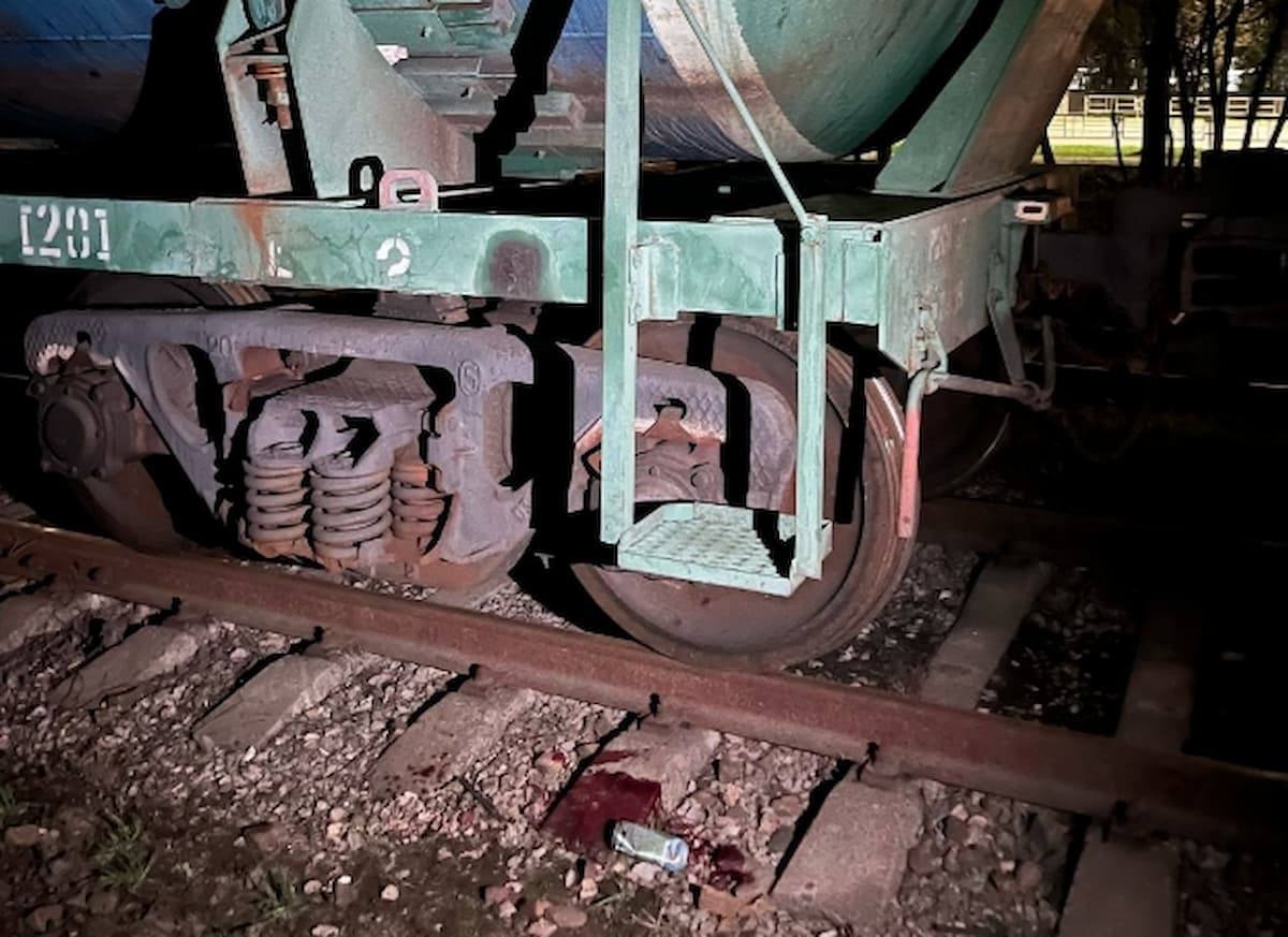 Мужчина выжил попав под поезд в Краснодаре 7 января вечером в Краснодаре поезд сбил мужчину который шёл вдоль железнодорожных путей это произошло около 20 30 на улице Индустриальной напротив ТРК Сити Центр Пострадавшим оказался 28 летний житель Башкортостана его с различными травмами госпитализировали в городскую больницу Полицейские проводят проверку и выясняют все обстоятельства случившегося   свои фото видео и истории присылайте нашему боту prostokrd bot Подпишись на наш канал в Telegram MAX