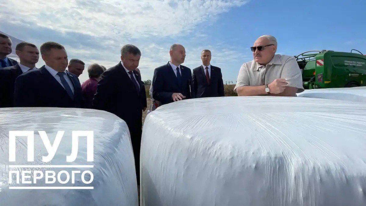 «Мы должны своё делать»: Александр Лукашенко поручил наладить выпуск белорусских пресс-подборщиков  Президент Беларуси Александр Лукашенко поручил вице-премьеру, заместителю премьер-министра Республики Беларусь, Виктору Каранкевичу наладить в стране производство конкурентных на рынке отечественных пресс-подборщиков, а также роботов для доения коров.  Подробности