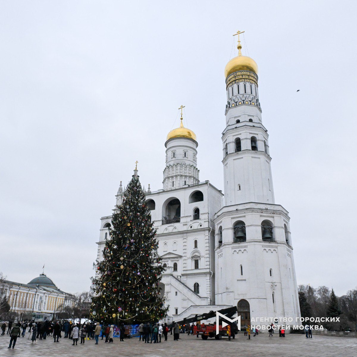 Главную новогоднюю елку страны установили и украсили на Соборной площади Московского Кремля.    «Москва»