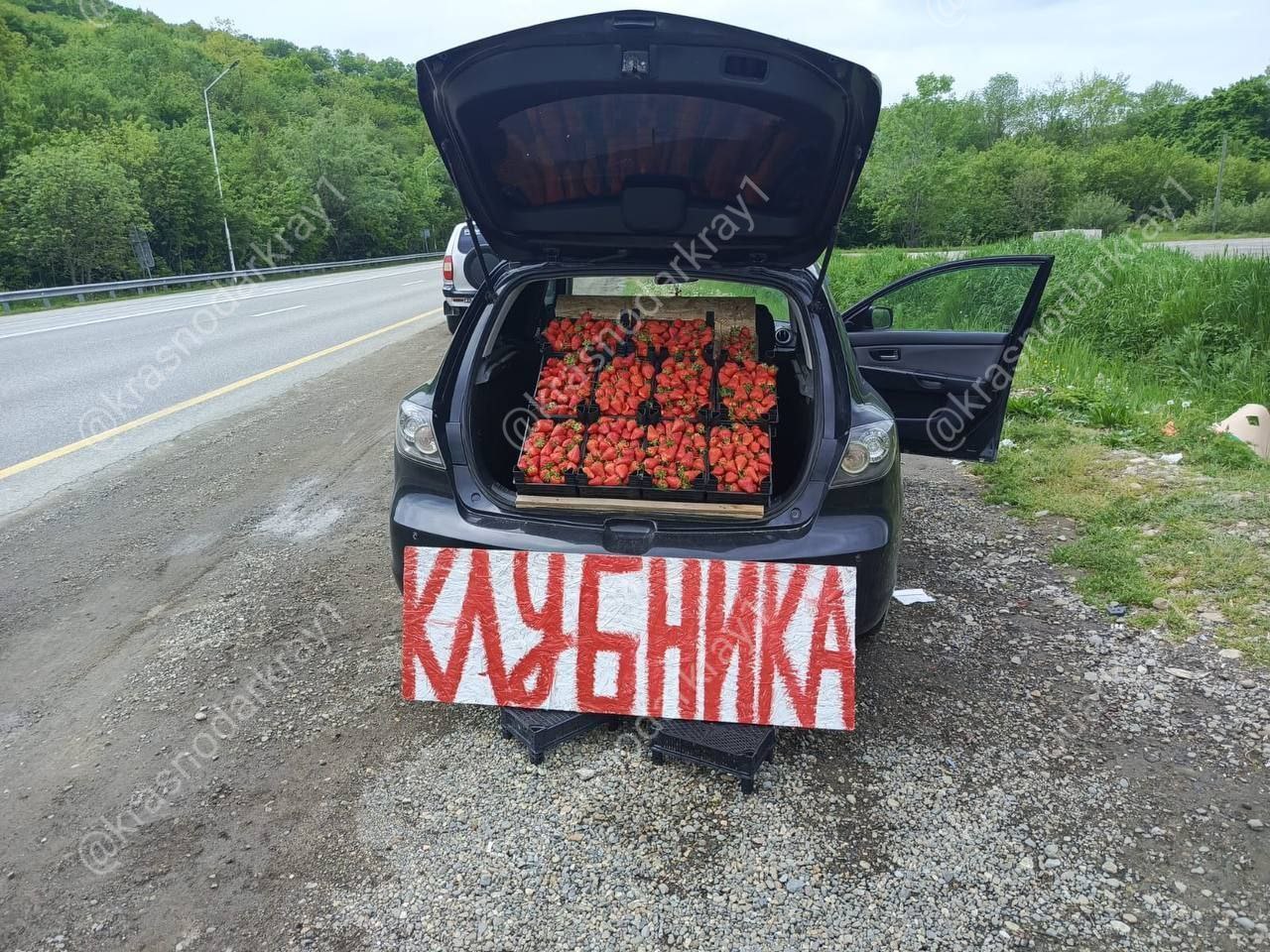 Туристов напугали опасной клубникой вдоль трассы к Черному морю. "Клубника с солями тяжелых металлов сегодня стала главным продуктом несанкционированной придорожной торговли," - говорится в сообщении. В Горячем Ключе назрела серьезная проблема с несанкционированной придорожной торговлей, особенно в преддверии высокого курортного сезона. Основную опасность представляет продажа клубники и других продуктов питания вдоль трассы "ДОН", так как они впитывают токсичные выхлопные газы и могут содержать соли тяжелых металлов. Об этом сообщили в администрации города. По данным администрации, рейды по пресечению незаконной торговли на участке от Саратовского рынка до перевала проводятся ежедневно, однако сталкиваются с сопротивлением. Продавцы, многие из которых имеют судимости и неоплаченные штрафы, зачастую оказывают физическое сопротивление. С начала года в полицию передано более 350 сообщений о нарушениях и составлено свыше 200 административных протоколов. Ваши видео высылайте нам в бот Подпишись поделись Прислать видео новость