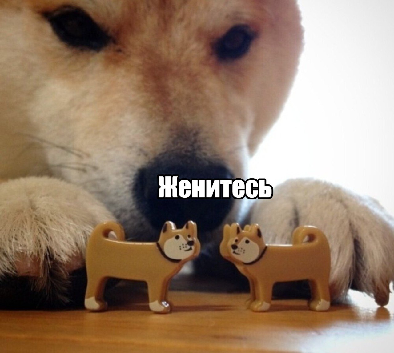 Холостяки под контролем реестр неженатиков предложили создать в России Это поможет в борьбе с демографическим кризисом заявил в разговоре с Абзацем автор идеи Игорь Мирошниченко Надо повышать демографию Все пути ведущие к этому вплоть до законов и реестров холостяков должны оцениваться положительно Правда он уточнил что система должна быть добровольной и безопасной для мужчин Иначе получится просто галочка а не реальная помощь Видимо одиноких парней будут не только в соцсетях искать но и в государственных базах данных Подпишитесь на Абзац TG VK Дзен MAX Rutube