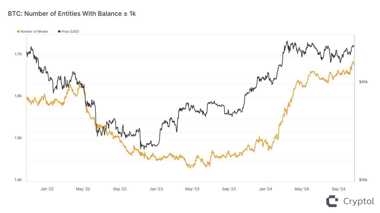 Количество крупных держателей Bitcoin стало самым большим с января 2021 года  Сейчас насчитывается 1678 кошельков, каждый из которых содержит свыше 1000 BTC.    Cryptol