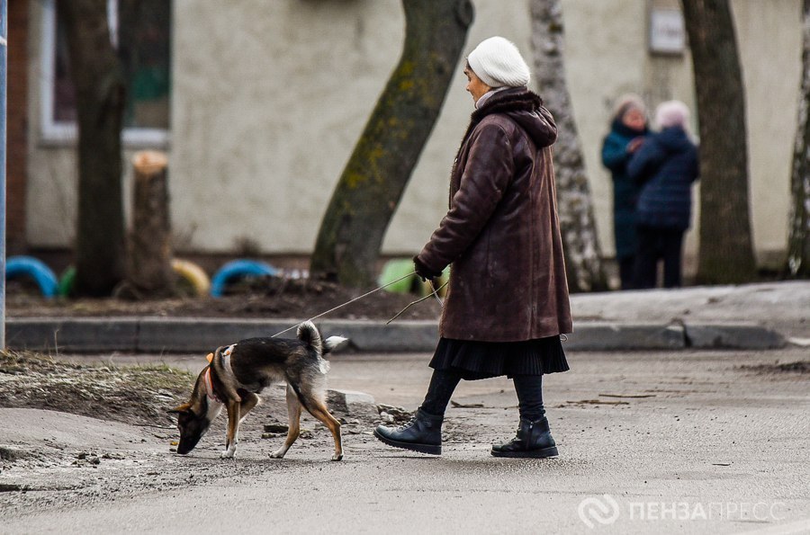 Стал известен график выплат пенсий и пособий пензенцам в декабре Как сообщили в региональном отделении Соцфонда 3 декабря перечислят единое пособие на детей до 17 лет и беременным женщинам ежемесячную выплату на первого ребенка до трех лет ежемесячное пособие на ребенка военнослужащего проходящего службу по призыву и другие социальные выплаты Выплату из маткапитала осуществят 5 декабря Пособие по уходу за ребенком до полутора лет поступит 8 декабря в обычном порядке Пенсии жителям Пензенской области выплатят 5 12 и 23 декабря согласно установленным датам для каждого получателя Это касается всех видов пенсий включая страховые социальные накопительные по старости и инвалидности penzapress пенза пенсии выплаты декабрь