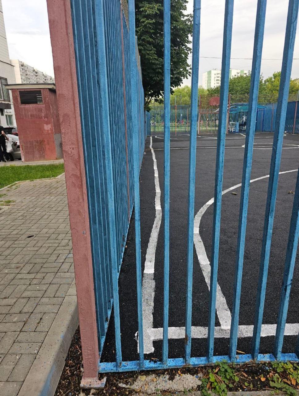 В московском районе Чертаново на баскетбольной площадке нанесли кривую разметку  А некоторым жильцам она и вовсе напоминает детородный орган.
