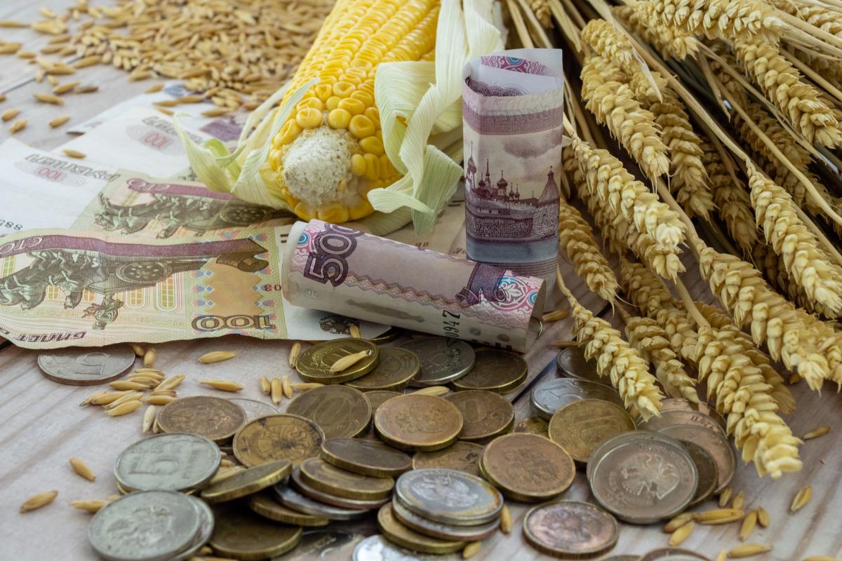Кредитование АПК выросло на 2 5 за 7 месяцев Объём кредитования аграрного сектора РФ в январе июле увеличился на 2 5 сообщила председатель Центробанка Эльвира Набиуллина Она подчеркнула что сельхозпроизводителям нужны оперативные средства для проведения посевной и уборочной однако долгосрочное решение проблемы доступности кредитов возможно только при устойчиво низкой инфляции По её словам ключевые издержки аграриев связаны не с процентными ставками а с семенами топливом племенным фондом и логистикой Недавно ЦБ снизил ключевую ставку до 17 Подписаться на новости Вступить в чат фермеров