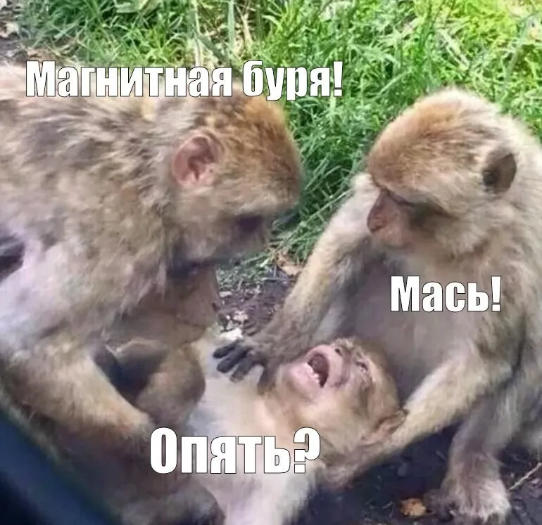 В выходные ожидаются мощные магнитные бури По данным специалистов Лаборатории солнечной астрономии ИКИ и ИСЗФ наша планета готовится к геомагнитной встряске Уже к вечеру обстановка осложнится из за приближающегося к Земле выброса корональной массы Ну а завтра 18 апреля ждём мощную магнитную бурю Геоудары могут достигнуть 6 7 баллов Послезавтра 19 апреля ещё одна буря немного слабее 5 6 баллов Но всё равно это считается серьёзными возмущениями До 21 апреля активность магнитного поля постепенно снизится но штормовое настроение ещё сохранится так как возможны кратковременные всплески геоударов Готовимся к мигреням Если что мы не накаркали а просто предупредили Подписывайтесь на нас в MAX