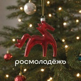 Аватар Телеграм канала: росмолодёжь