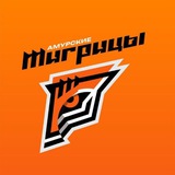 Аватар Телеграм канала: «Амурские Тигрицы» | Волейбольный клуб
