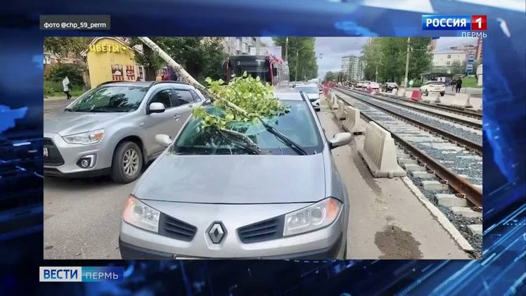 В Перми упавшая ветка пробила лобовое стекло автомобиля    В Перми тяжелая ветка, отломившаяся от дерева из-за сильного ветра, пробила лобовое стекло машины и чуть не убила водителя. ЧП случилось на ул. Мира. Автомобиль в тот момент двигался по проезжей части. Обломками дерева задело проезжавший рядом автобус.